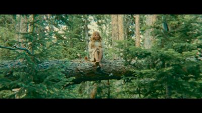 a girl sitting on a tree branch in a forest