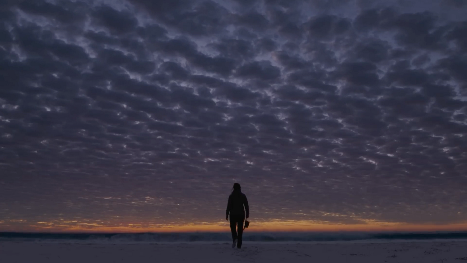 a person standing on a beach at sunset