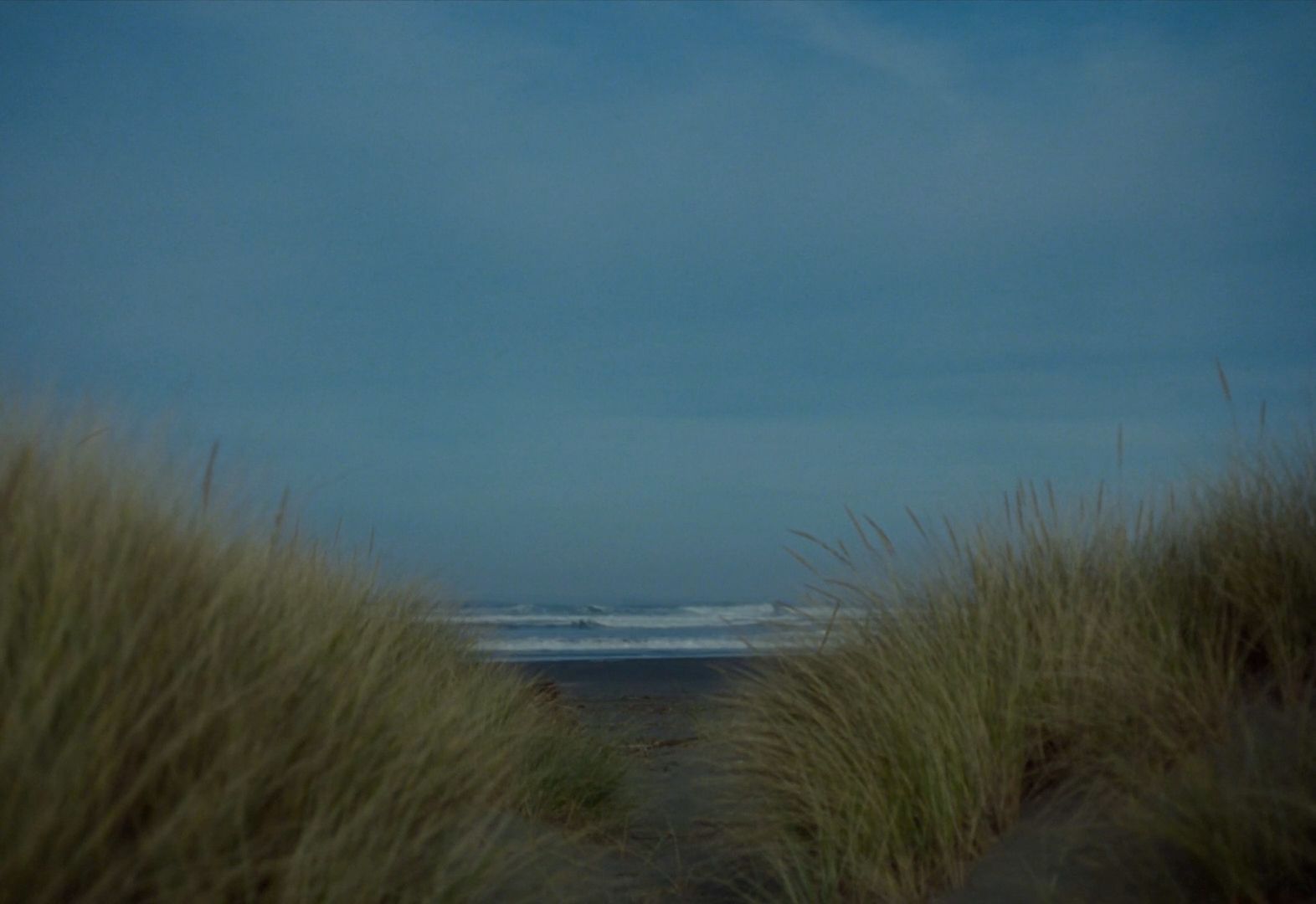 a view of the ocean from the sand dunes