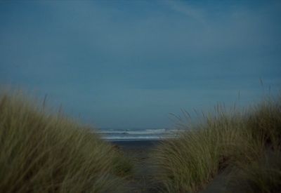 a view of the ocean from the sand dunes