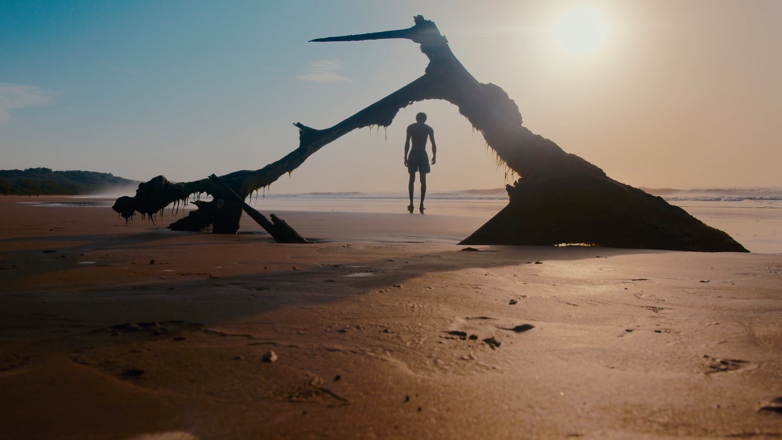 a person standing on a beach next to a fallen tree