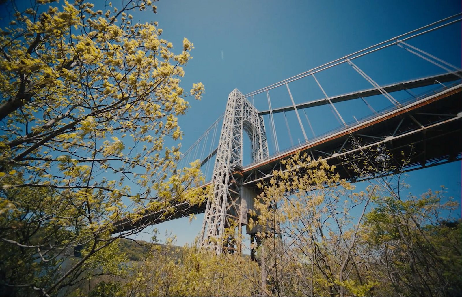 a tall bridge over a river surrounded by trees