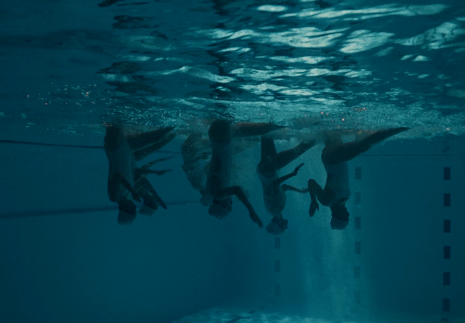 a group of people swimming under water in a pool