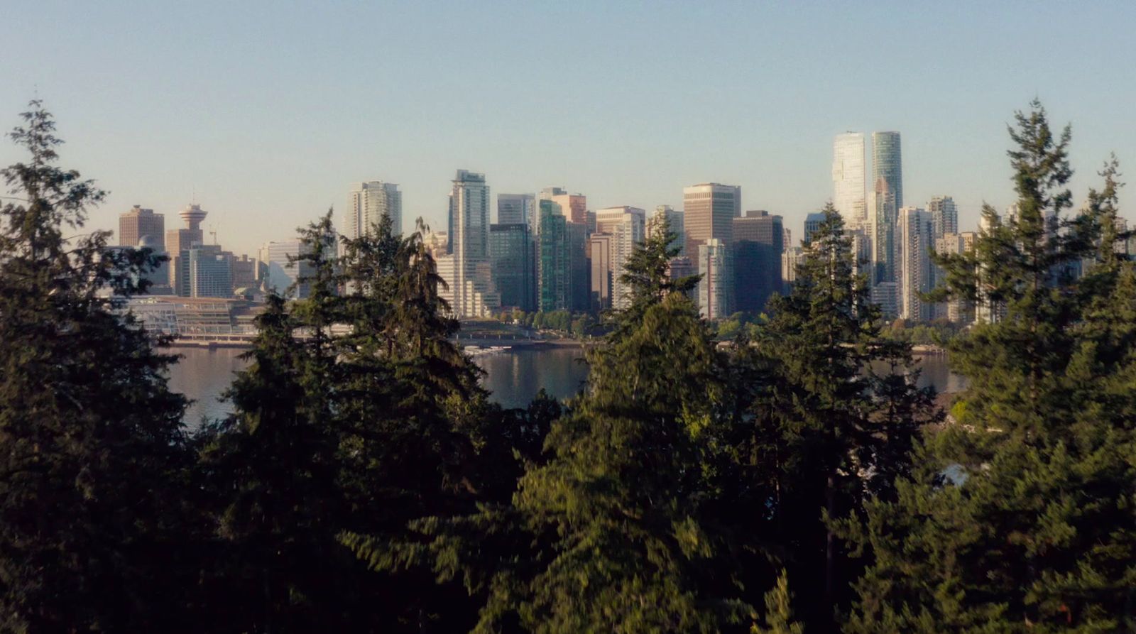 a view of a city with tall buildings and trees