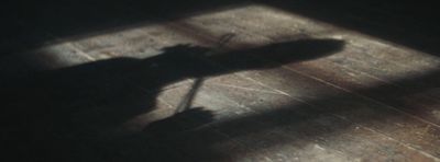 a shadow of a cat on a wooden floor