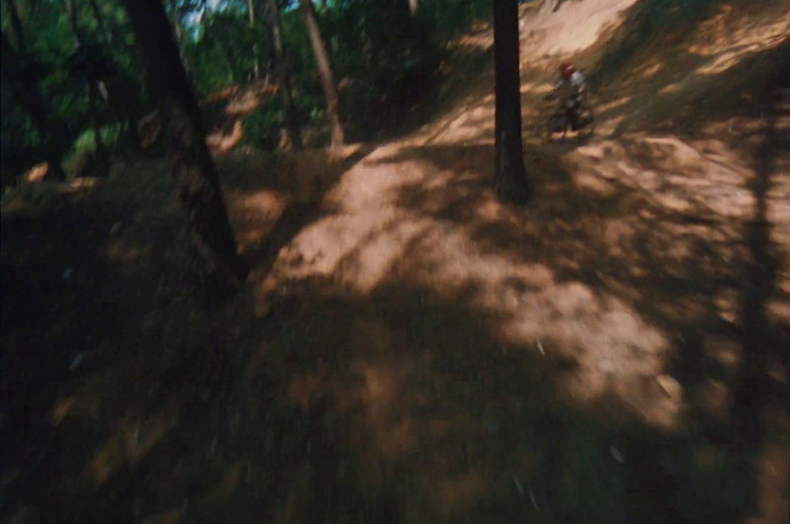 a blurry photo of a person riding a bike in the woods