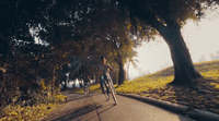 a man riding a bike down a tree lined road