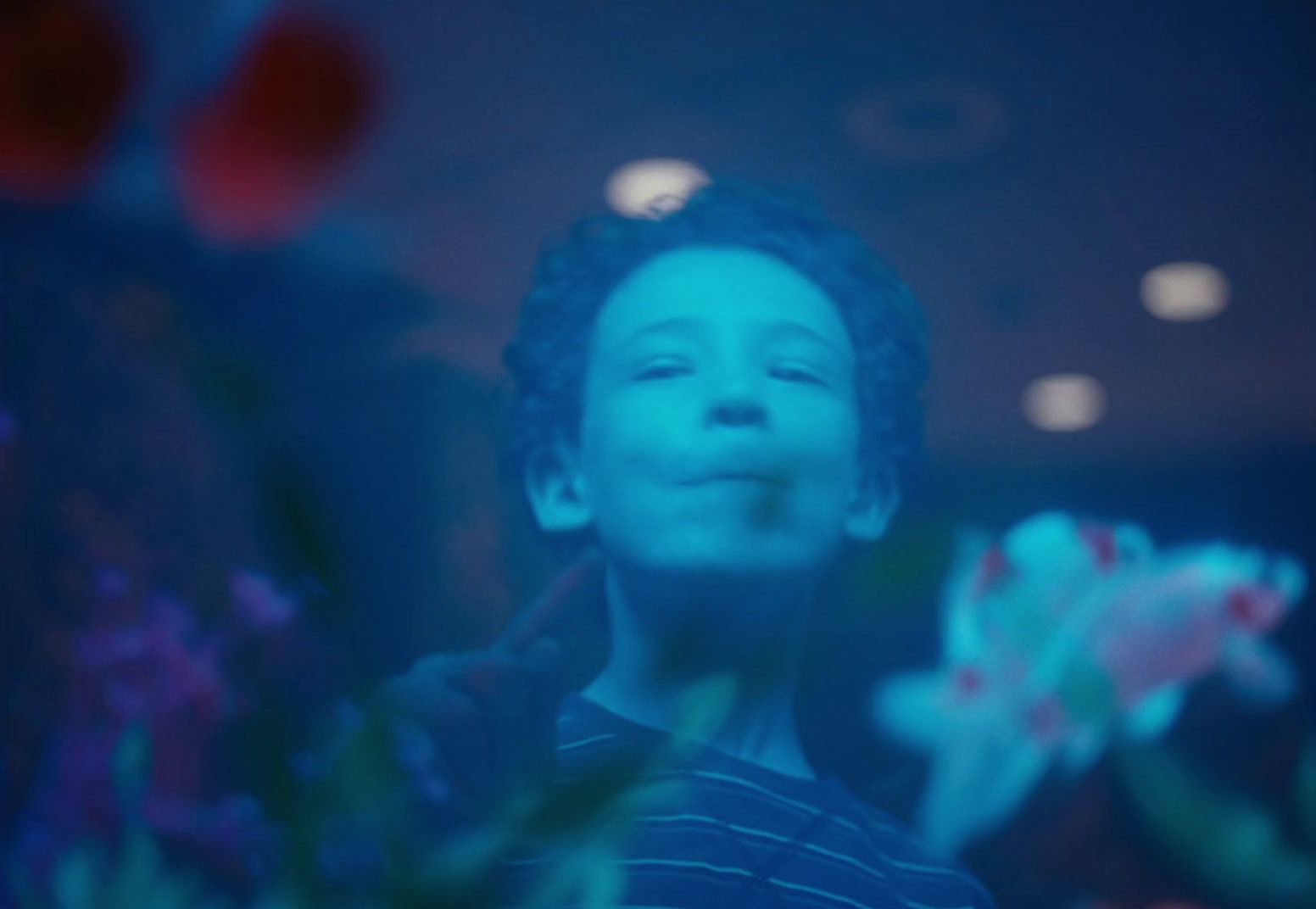 a young boy standing in front of a flower display