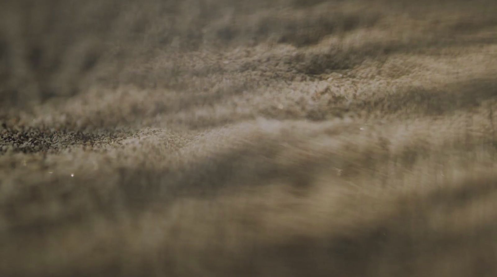 a blurry photo of a field with a bird flying over it