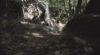 a person standing in the woods near a waterfall