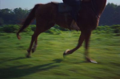 a blurry photo of a person riding a horse