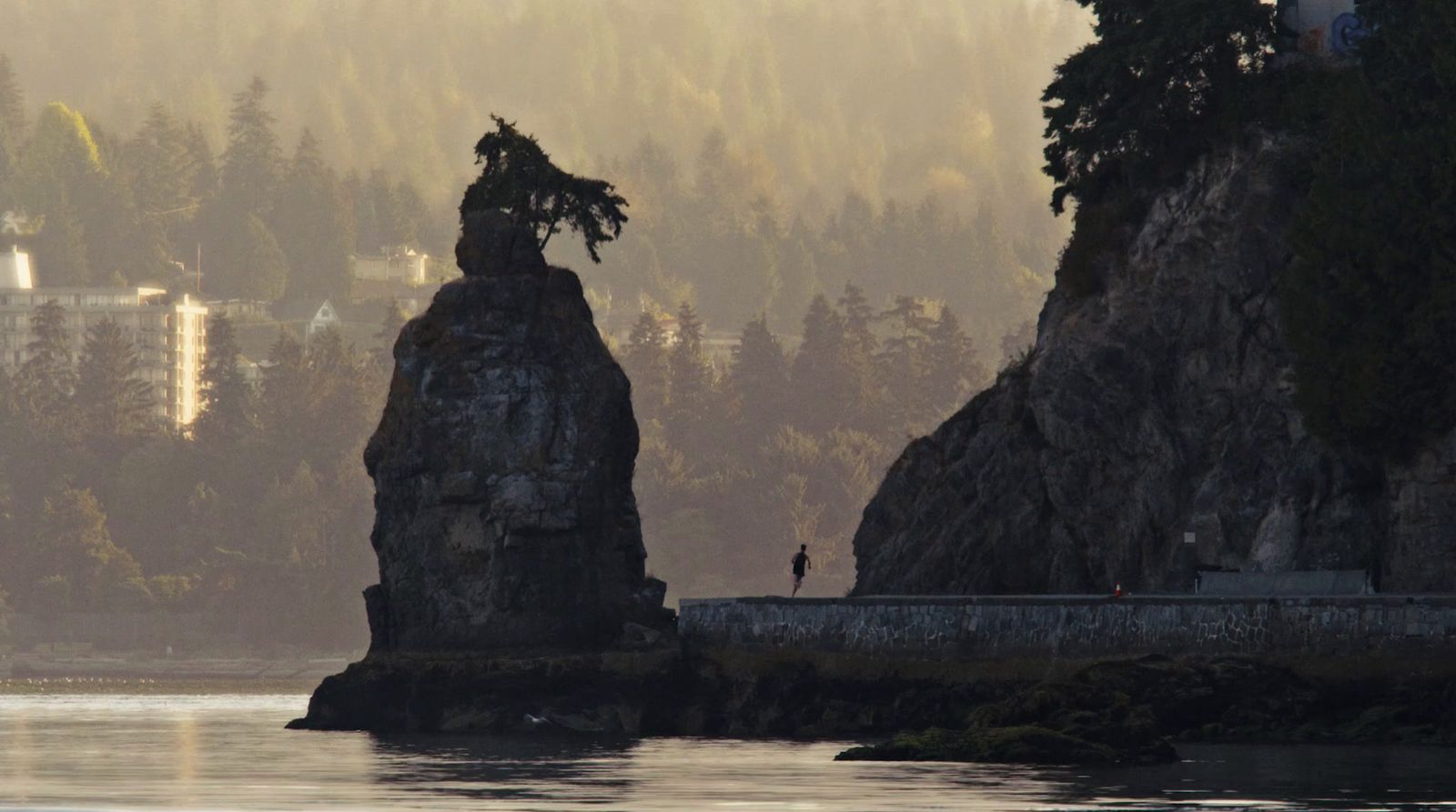 a person standing on a rock near a body of water