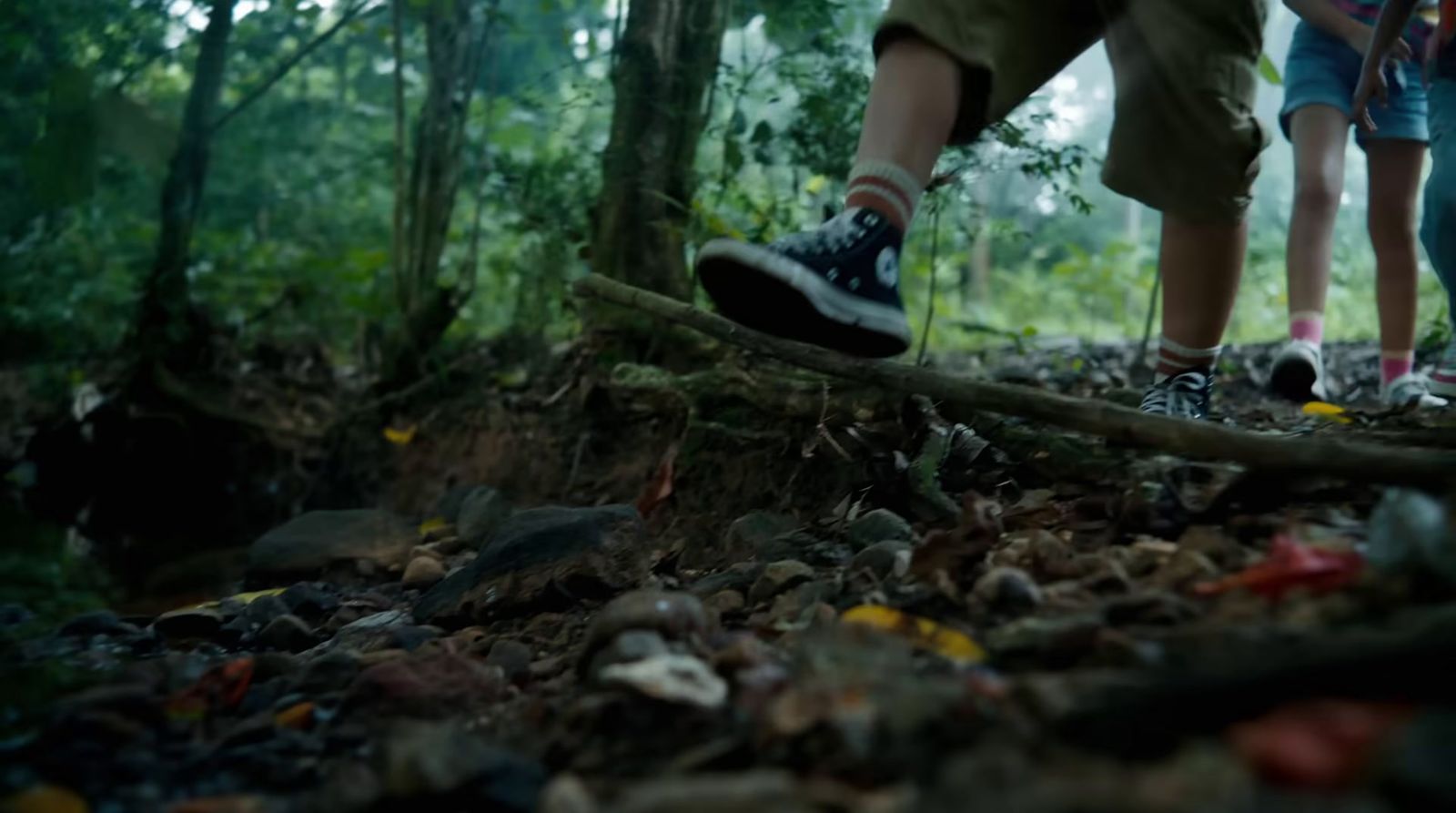 a couple of people walking across a forest