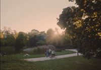 a group of people riding bikes down a path