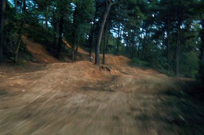 a blurry picture of a dirt road in the woods