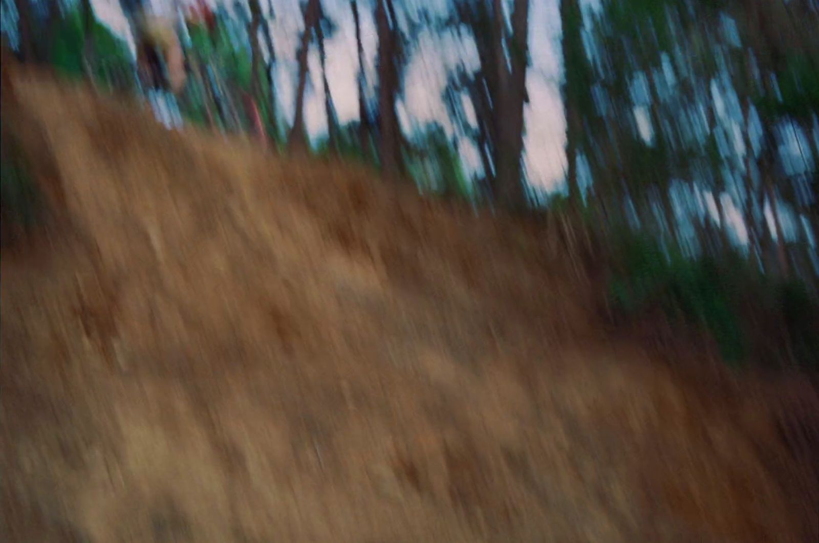 a blurry photo of a person riding a skateboard down a hill