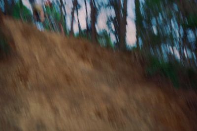 a blurry photo of a person riding a skateboard down a hill