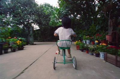 a little girl riding a green tricycle through a garden