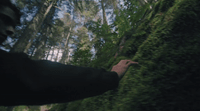 a person reaching for something in the woods