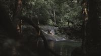 a waterfall in the middle of a forest