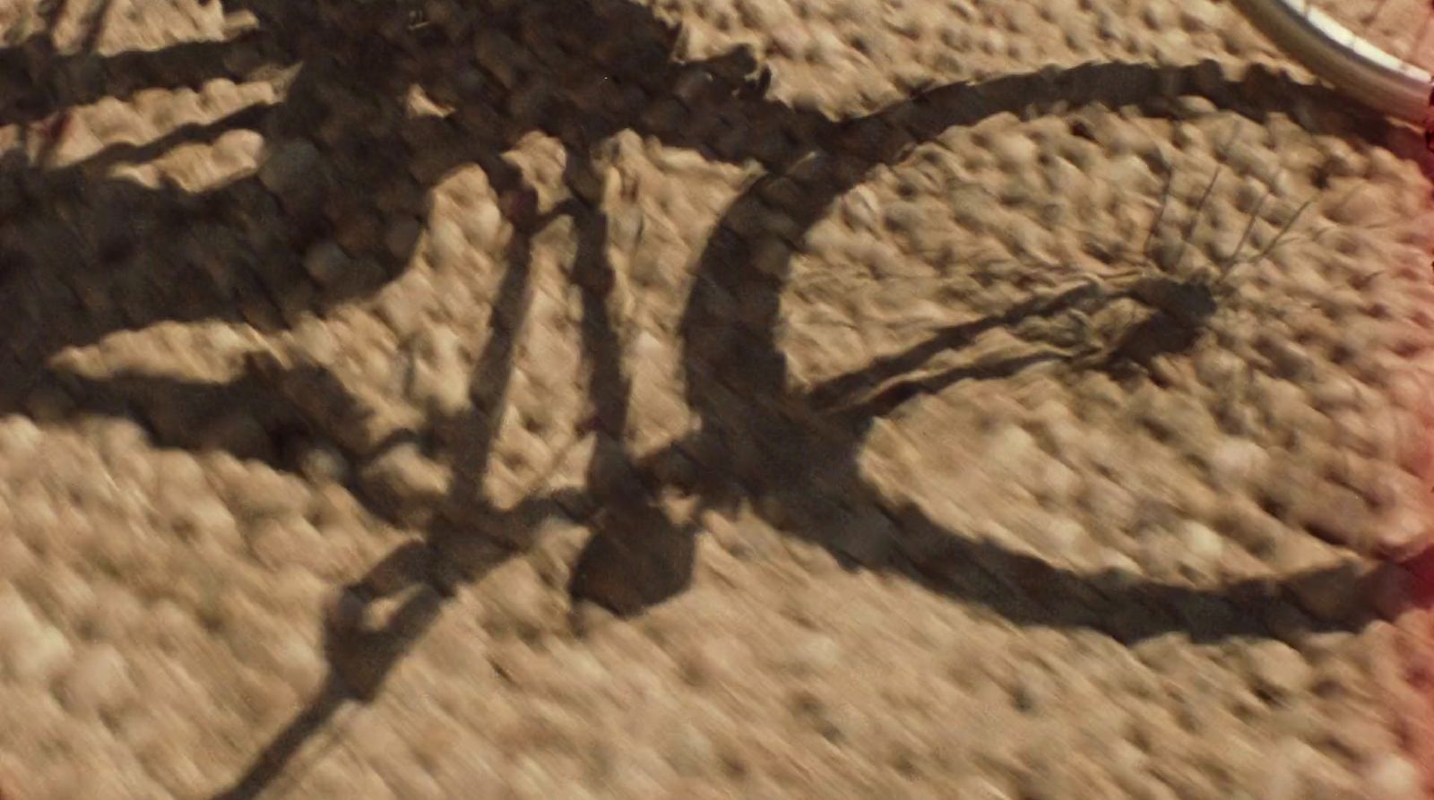 a shadow of a bike on the ground