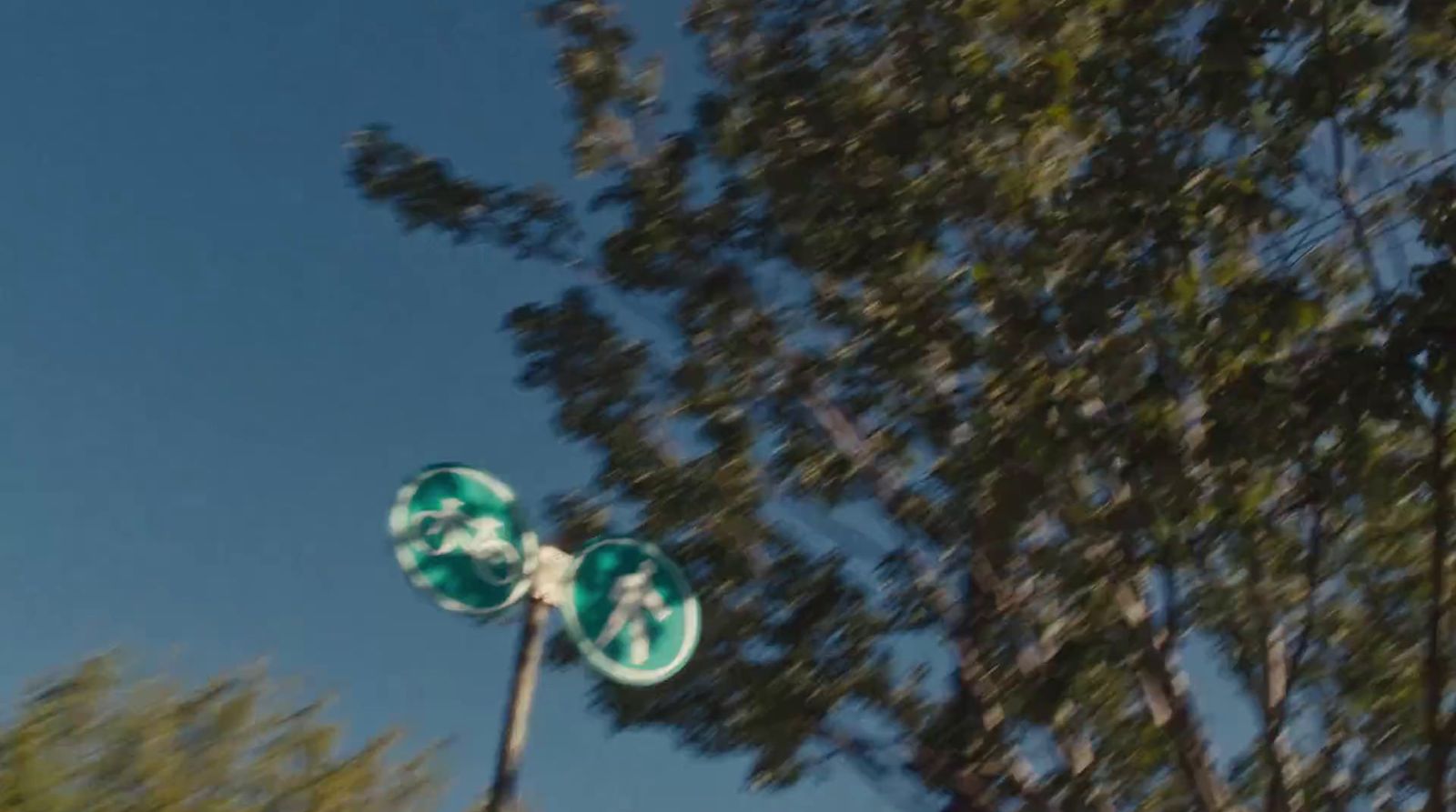 a street sign on a pole next to a tree