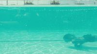 a dog swimming in a pool with a boat in the background