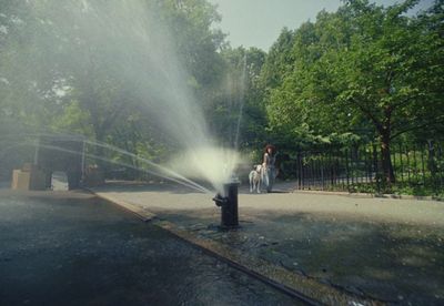 a fire hydrant spewing water onto a street