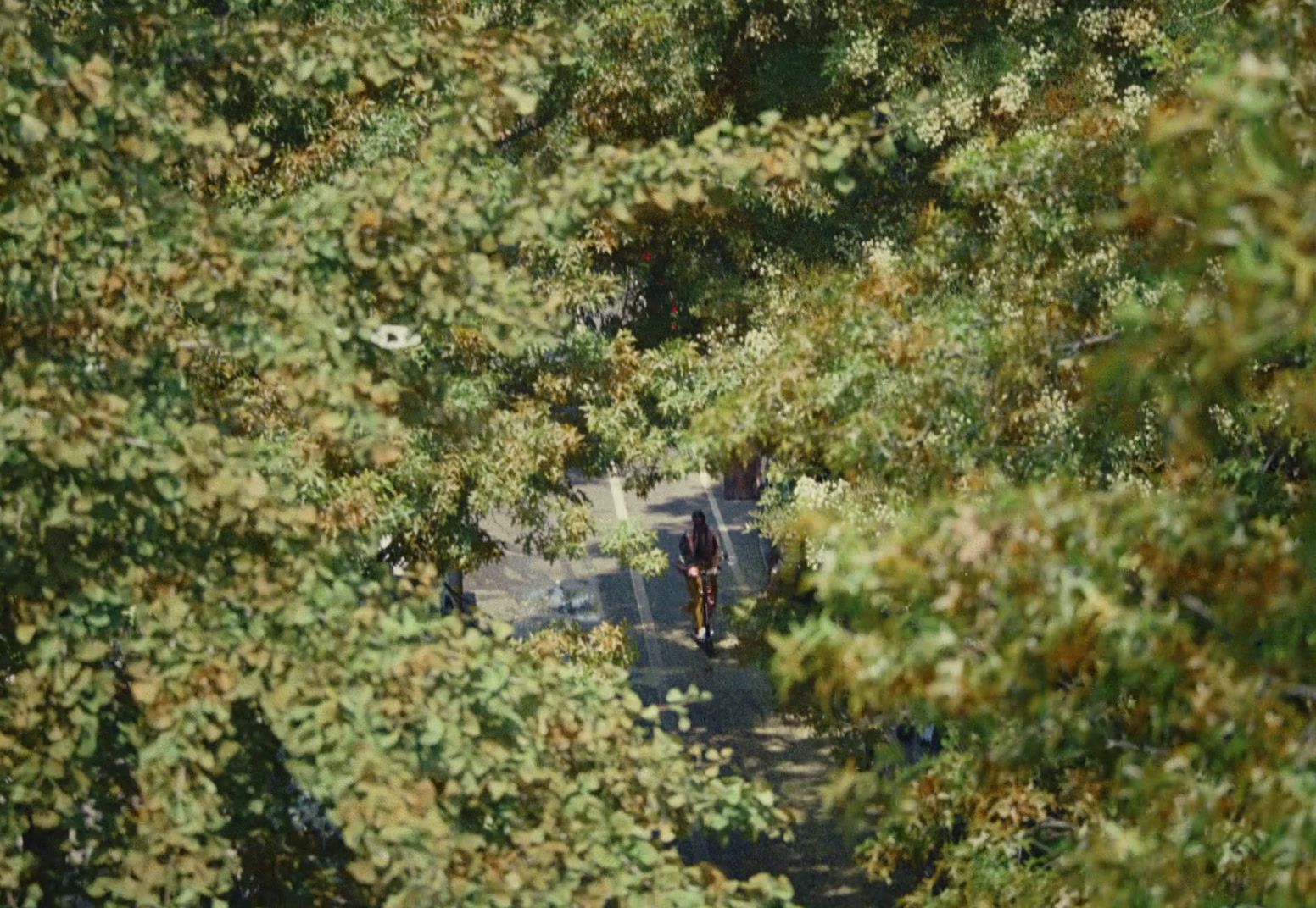 a man riding a bike through a lush green forest