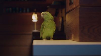 a green parrot sitting on a ledge next to a lamp