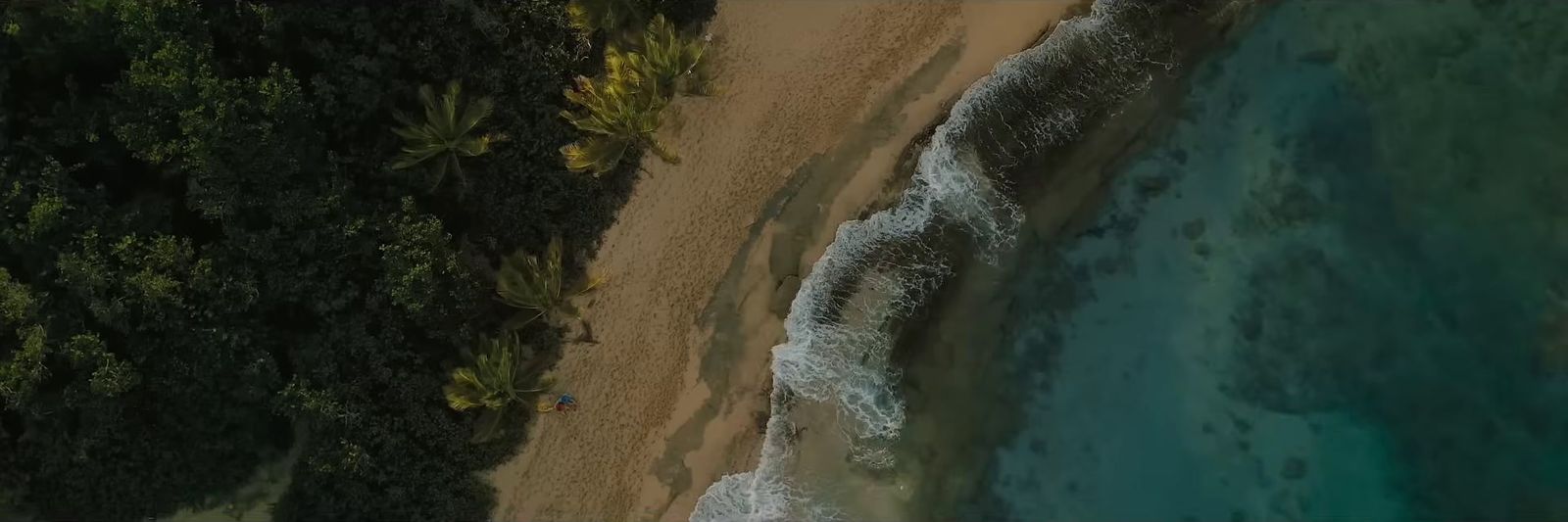 an aerial view of a beach and ocean