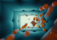 a room filled with lots of orange balls