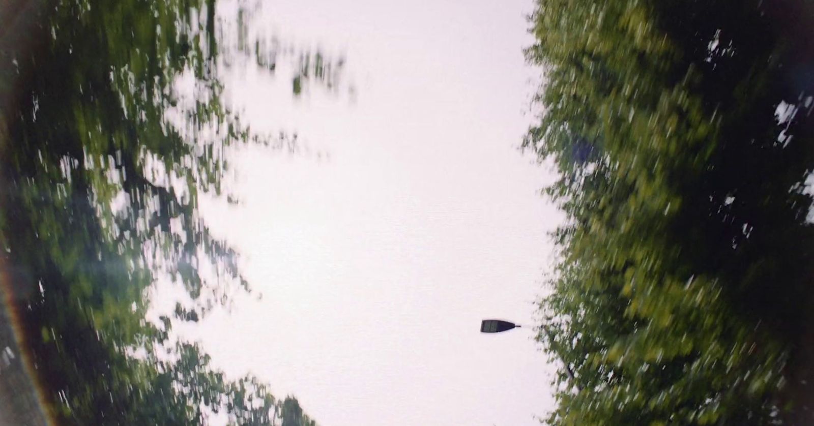 a bird flying through the air over a forest