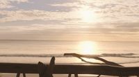 a person laying on a bench near the ocean