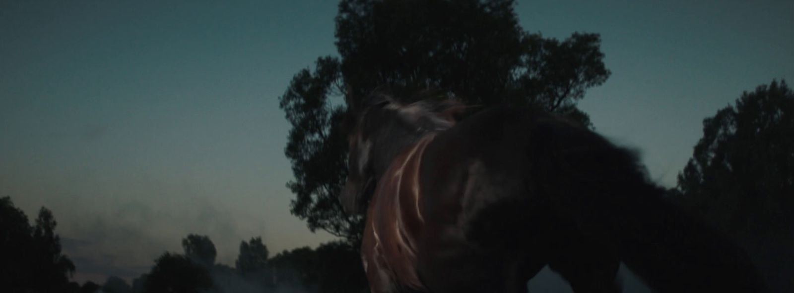 a blurry photo of a horse grazing in a field