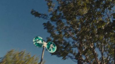 a street sign on a pole with trees in the background