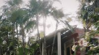 a red building surrounded by palm trees on a sunny day