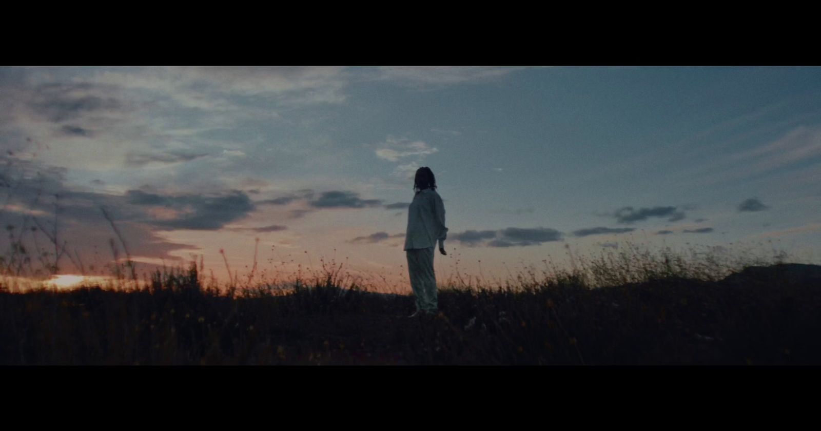 a person standing in a field at sunset