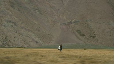 a person standing in a field with a mountain in the background