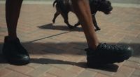 a person walking a dog on a leash