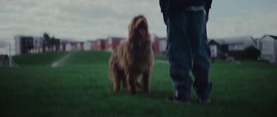 a man walking a dog on a lush green field