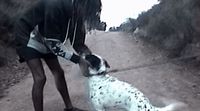 a man is petting a spotted dog on a leash