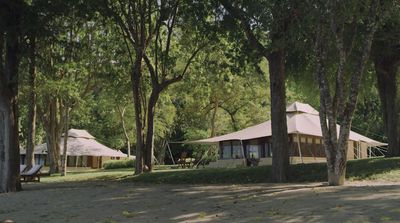 a group of tents sitting in the middle of a forest