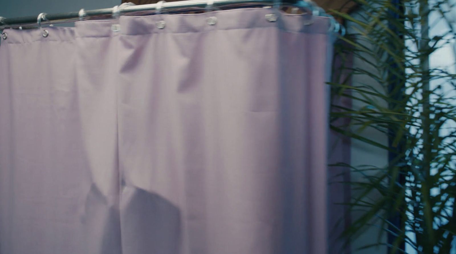 a bathroom with a shower curtain and a plant