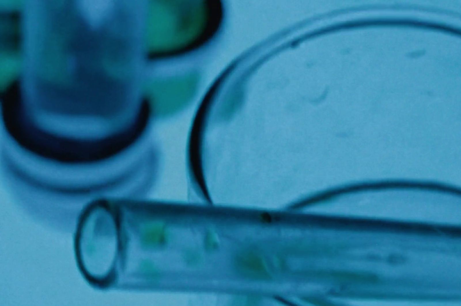 a glass filled with liquid next to a tube of liquid