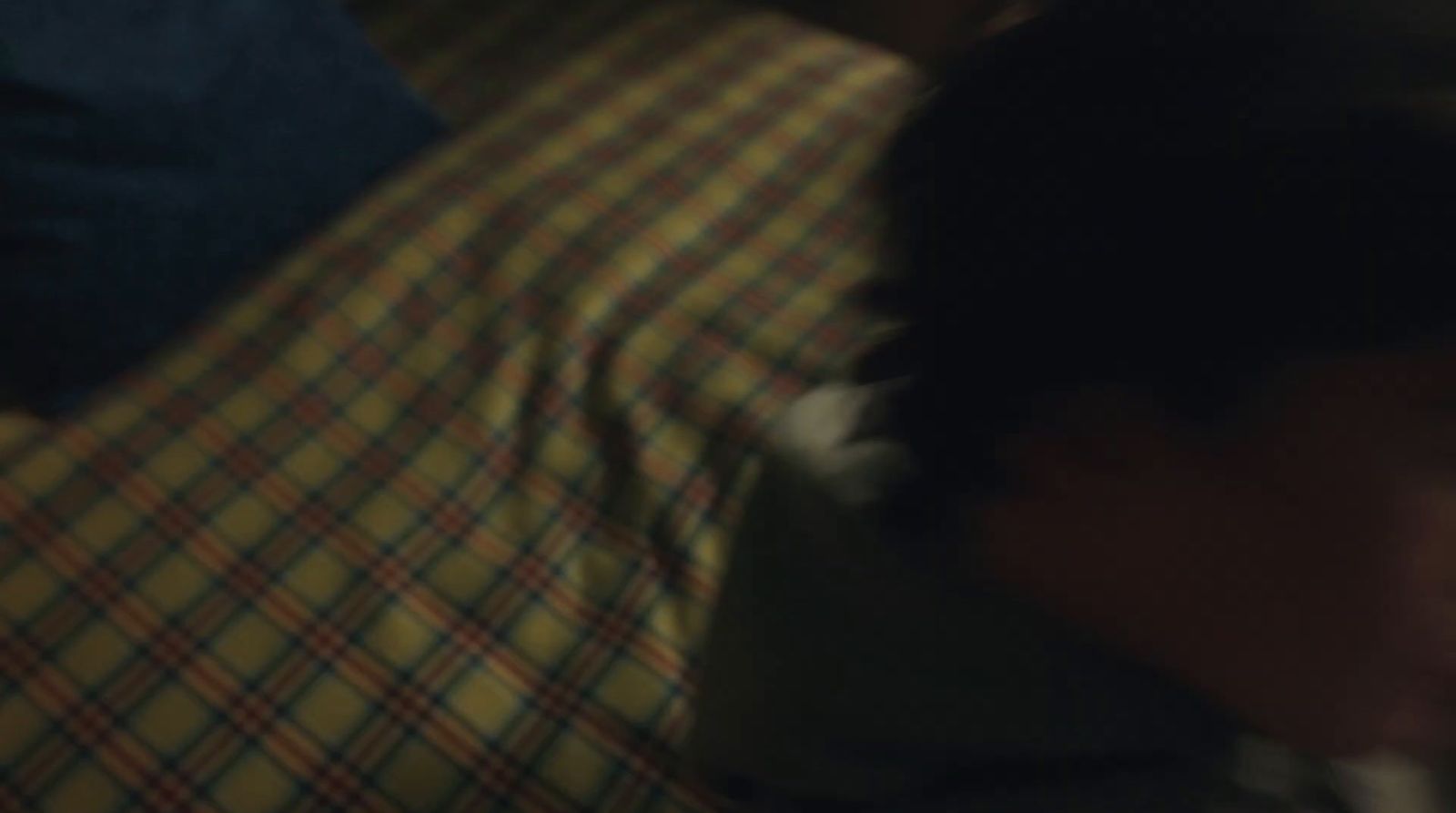 a blurry image of a person laying on a bed