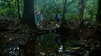 a group of people walking through a forest