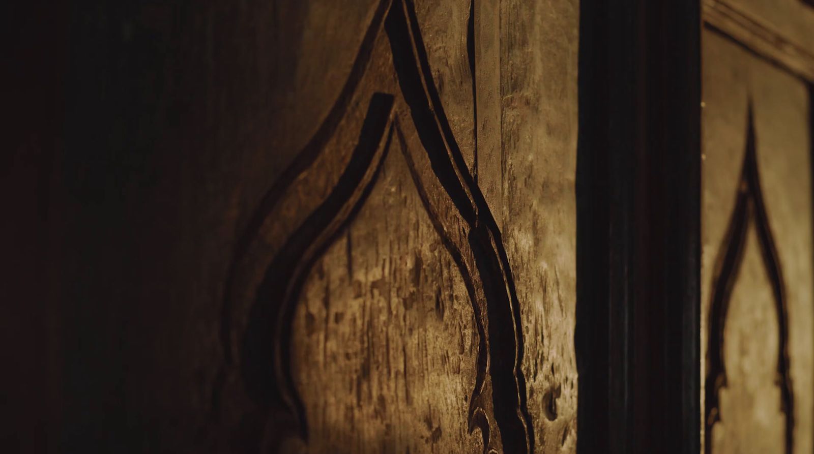 a close up of a wooden door with vines on it