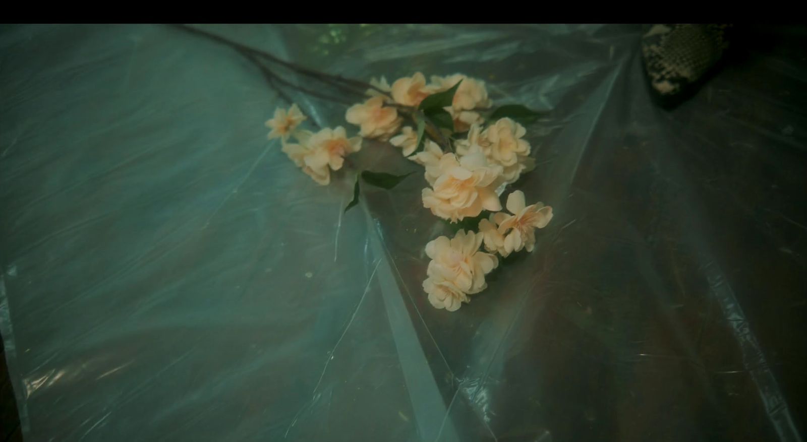 a bunch of flowers that are sitting on a plastic bag