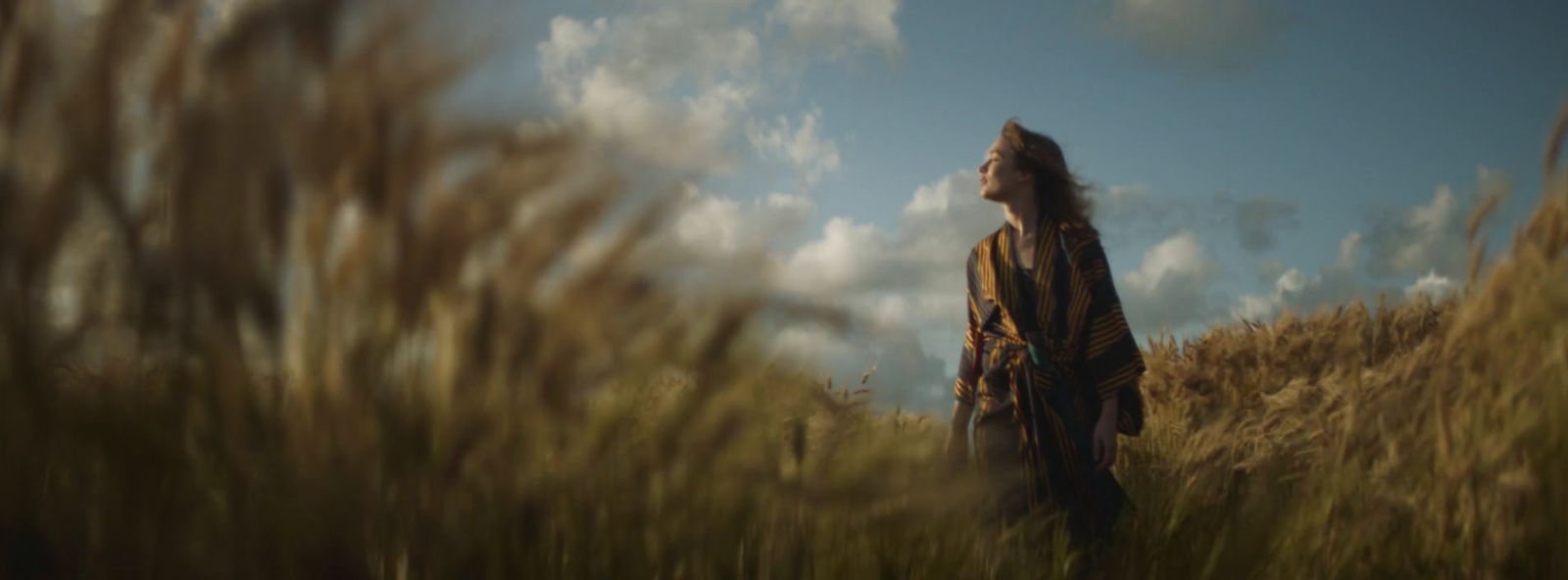 a person standing in a field of tall grass